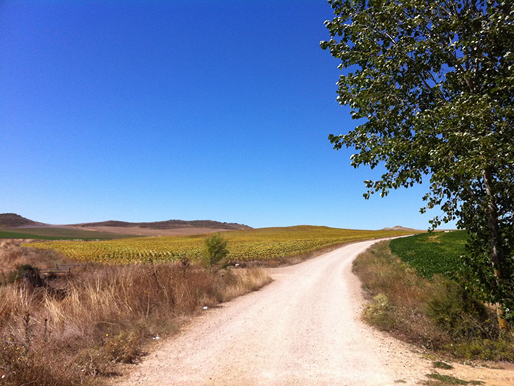 Pilgrim path to Boadilla del Camino, Castile and León, Spain