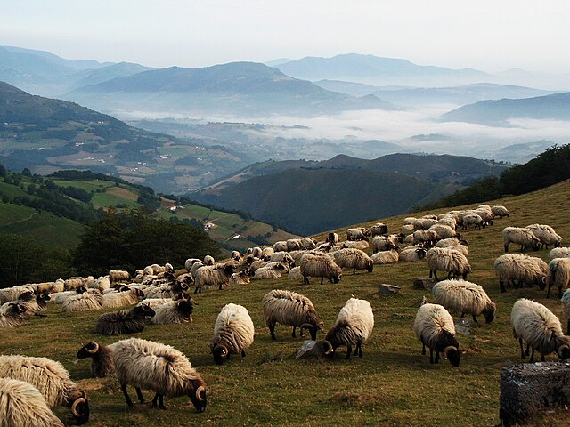 Arneguy, Pyrénées-Atlantiques