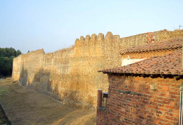 Mansilla de las Mulas, Leon