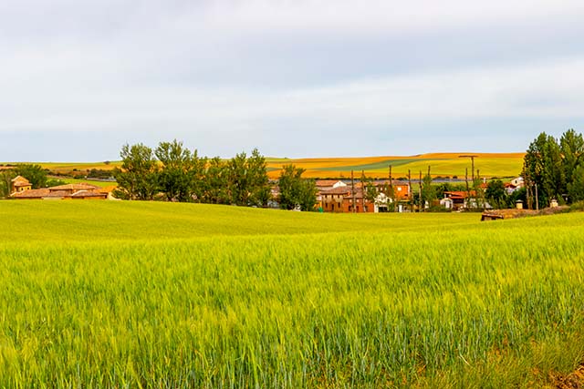 San Nicolas del Real Camino, Palencia